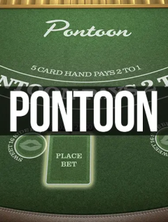 Pontoon 21